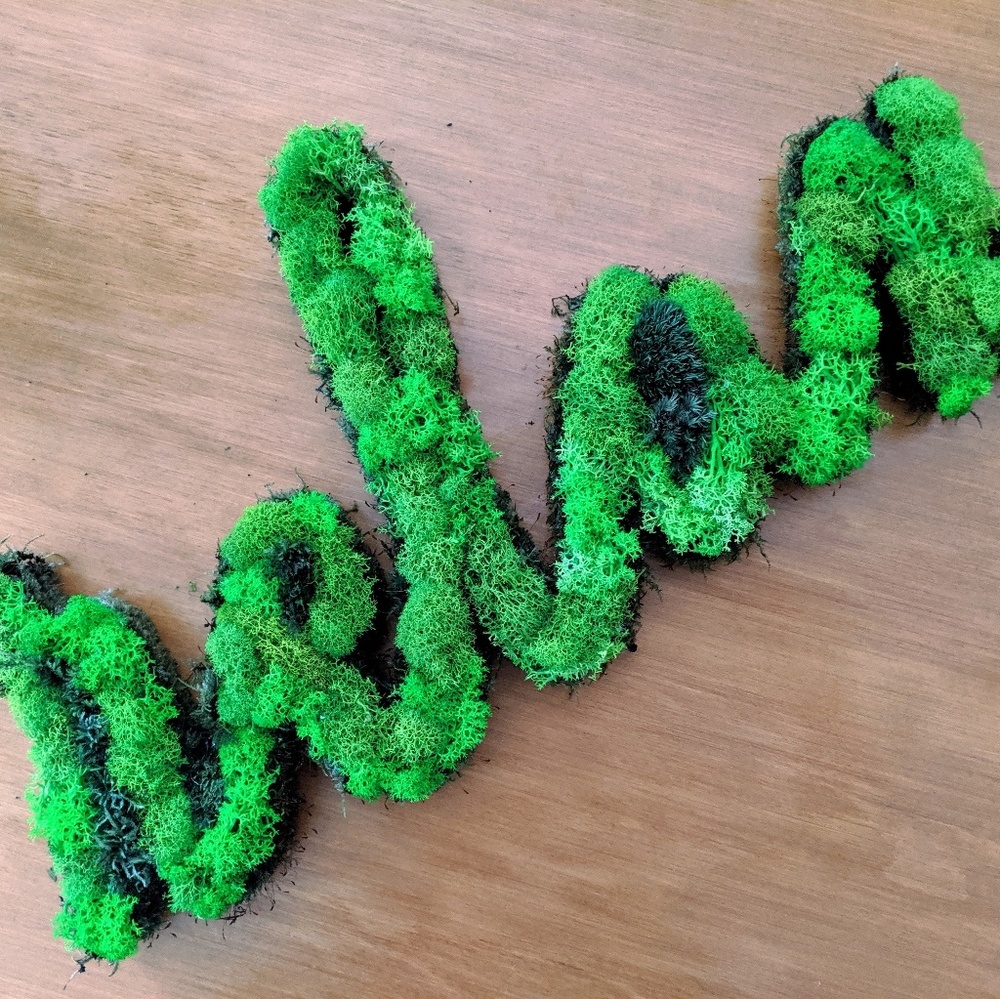 " Relax" with naturally preserved moss